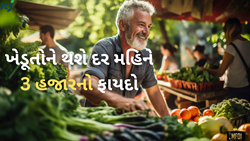 શું છે પ્રધાનમંત્રી માનધન યોજના, જેના હેઠળ ખેડૂતોને દર મહિને મળશે રૂ. 3000