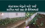 લૉકડાઉનમાં કૃષિ ઉપજના ખરીદાર ન મળતાં ખેડૂતોની વહારે આવ્યા દાનવીર શૈલેષભાઈ પટેલ