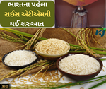 ભારતના પહેલા રાઈસ એટીએમ થયું લોન્ચ, હવે ચોખાની ચોરી અને બ્લેક માર્કેટિંગ પર લાગશે પ્રતિબંધ
