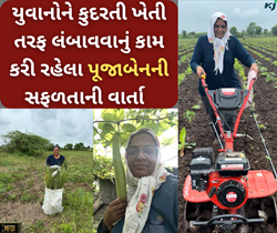 એક શિક્ષક એક માં બનીને ગુજરાતના યુવાનોને કુદરતી ખેતી પ્રત્યે જાગ્રત કરી રહી છે જામનગરની પૂજાબેન 
