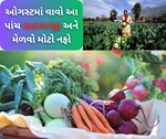 ઓગસ્ટના મહિનામાં વાવો આ પાંચ શાકભાજી, અઢળક ઉત્પાદન સાથે મેળવો મોટો નફો