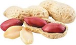 Peanut Benefits: મગફળી ખાવાથી શરીરને કેટલો થશે ફાયદો? તેના ગુણ અને ખામીઓ જાણો