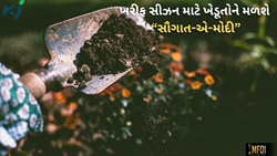 ખરીફ સિઝનની શરૂઆત પહેલા ખેડૂતોને મોદીની ભેટ, ખાતર માટે આપી કરોડોની સબસિડી 