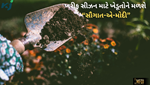 ખરીફ સિઝનની શરૂઆત પહેલા ખેડૂતોને મોદીની ભેટ, ખાતર માટે આપી કરોડોની સબસિડી