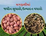 ભાવનગર જીલ્લામાં ખરીફ ઋતુના વાવેતર માટે બિયારણની ખરીદી કરતી વખતે ખેડૂતો કાળજી રાખવી 