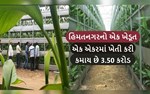 હિંમતનગરનો  ખેડૂત આ ખેતી કરી કમાય છે અધધ આટલા બધા રૂપિયા 