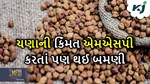 Market Price: ખેડૂતો થયા ખુશખુશાલ, ગુજરાતમાં ચણાની કિંમતમાં જોવા મળ્યો રેકોર્ડ ઉછાળો
