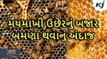 મધમાખી ઉછેરનું બજાર 2032 સુધીમાં 15.3 બિલિયન ડોલર સુધી પહોંચવાનો અંદાજ 
