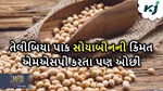 APMC માં સોયાબીનનો ભાવ MSP કરતા રૂં.1600 ઓછું નોંધાયું, ખેડૂતોને સેવાઈ નુકસાનની ભીતી