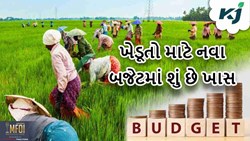જાણો મોદી સરકાર નાણાકીય વર્ષ 2024-25 ના બજેટમાં ખેડૂતોને શું આપશે