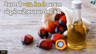 નેપાળથી ખાદ્ય તેલની આયાત ખેડૂતો અને સરકાર માટે સમસ્યા બની
