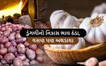 ડુંગળીનો નિકાસ ભાવ ઠંડા, કોરાના કારણે લસણ પણ અથડાયા