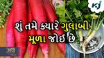 શું તમે ક્યારે ગુલાબી મૂળા જોઈ છે, તેની ખેતી આપે છે ખેડૂતો મોટી આવક