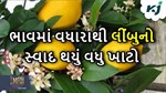 વાવઝોડાએ લીંબુને લઈ ગયું પોતાની સાથે, ભાવમાં મોટા પાચે ઉછાળા