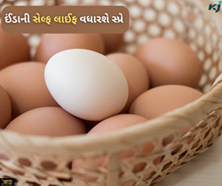 ઈંડાની સેલ્ફ લાઈફમાં વધારો કરવા માટે વૈજ્ઞાનિકોએ તૈયાર કર્યો સ્પ્રે, પશુપાલકોને થશે ફાયદો