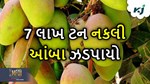 Infected Mango: બજારમાં મળી રહી છે નકલી કેરી, પોલીસે 7 લાખ ટન કેરી કર્યો જબદ