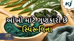 આયુર્વેદિક ગુણોથી ભરપૂર છે સ્પિરુલિના, આટલા રોગોથી આપે છે રક્ષણ