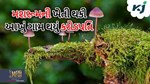 બીજા ગામમાં જઈને કરતા હતા મજૂરી, આજે મશરૂમની ખેતી થકી આખા ગામ થયું કરોડપતિ