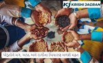 ખેડૂતોને મગ, અડદ અને રાગીના બિયારણ મળશે મફત
