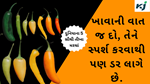  World's Hottest Chilies  દુનિયાના 5 સૌથી તીખા મરચાં, ખાવાની વાત જ દો, તેને સ્પર્શ કરવાથી પણ ડર લાગે છે.