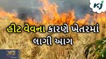 હીટ વેવના કારણે ઘઉંના ઉભા પાકમાં લાગી આગ, ખેડૂતની સળગી જવાથી મોત