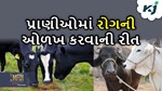 પ્રાણીઓમાં રોગોની કેવી રીતે ઓળખ કરવી જોઈએ, નિવારણની પદ્ધતિઓ જાણો