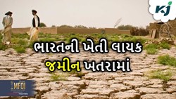 Report: રાસાયણિક ખાતરની વિપરીત અસરોની શરૂઆત, ફક્ત 15 ટકા જમીન ખેતી લાયક   