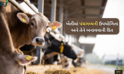 શું છે પંચગવ્ય? અને ખેતીમાં તેની ઉપયોગીતાથી ખેડૂતો કેવી રીતે મેળવી શકે છે ફાયદા