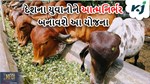 પોતાની જાતને આત્મનિર્ભર બનાવવા માંગો છો, આ યોજના હેઠળ મેળવો તાલીમ