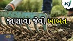 જોઈએ છે ખરીફ પાકોનું અઢળક ઉત્પાદન તો વાવેતરથી પહેલા આ કરવાનું નથી ભૂલતા
