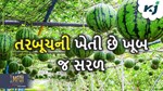 તરબૂચની ખેતી છે ખૂબ જ સરળ, આવી રીતે કરશો તો થશે લાખો રૂપિયાનો નફો