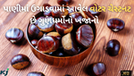ભરપૂર ગુણધર્મોથી ભરાયેલો છે વોટર ચેસ્ટનટ, જાણો તેના અદ્ભુત ફાયદાઓ વિશે
