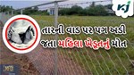 ભૂંડ માટે બનાવેલ તારની વાડ પર પગ અડી જતા મહિલા ખેડૂતનું મોત