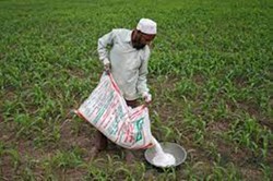 Fertilizer in India: રવિ સિઝનના વાવેતર માટે ખેડૂતોને ખાતરની નહી પડે ખોટ, ખેતી માટે મોટા પ્રમાણમાં ખાતરનો સ્ટોક