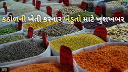 કઠોળના ખેડૂતો માટે ગુડ ન્યૂઝ, ચાલુ વર્ષે માટે 5 મિલિયન ટન કઠોળની ખરીદીને મળી મંજૂરી 