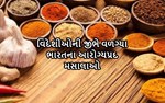 વિદેશોમાં ભારતીય મસાલાઓની ધૂમ, 5 વર્ષમાં 20 ટકા સુધી વધી નિકાસ