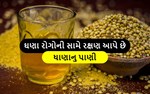 દરરોજ સવારે ધાણાનું પાણી પીવાથી થાય છે આટલા ફાયદા