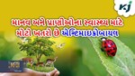 એન્ટિમાઇક્રોબાયલ પ્રતિકારના ઉદયમાં જંગલી પ્રાણીઓની ભૂમિકા