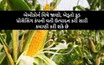 બેબીકોર્ન વિષે જાણો, ખેડૂતો ફૂડ પ્રોસેસિંગ કંપની વતી ઉત્પાદન કરી સારી કમાણી કરી શકે છે
