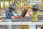 મધમાખી ઉછેર: ખેડૂતોની આવક બમણી કરવા માટે એક ઉભરતો વ્યવસાય