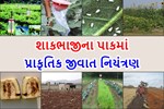 શાકભાજીના પાકમાં પ્રાકૃતિક જીવાત નિયંત્રણ