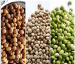 તુવેરની આ વૈજ્ઞાનિક પધ્ધતિથી ખેતી કરી સારું ઉત્પાદન મેળવી શકાય છે