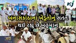 MFOI, VVIF ખેડૂત ભારત યાત્રા: બનાસકાંઠાના ખેડૂતોનું સતત થઈ રહ્યું છે બહુમાન