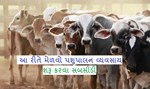 પશુપાલન અને ડેરી વિભાગ દ્વારા જારી કરવામાં આવી સબસિડી, જાણો શુ ખરીદવા પર મળશે સબસિડી