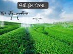 એગ્રી ડ્રોન યોજના: આ રાજ્યોના ખેડૂતોને ડ્રોન ઉડાવવાની તાલીમ અને 5 લાખ રૂપિયાની રકમ, તમે પણ લાભ લઈ શકો છો