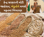 તેલીબિયાં પાકોના ઉત્પાદન વધારવા માટે કેન્દ્ર સરકાર 21 રાજ્યના ખેડૂતોને આપશે મફત બિયારણ