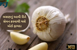 Garlic Benefits: લસણ છે શરીર માટે ચમત્કારી શાક, દરરોજ સેવન કરવાથી મળશે મોટો ફાયદો