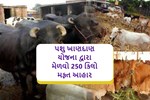 પશુ ખાણદાન સહાય યોજના 2022 : તમારા પશુ માટે મેળવો 250 કિલો ખાણ મફ્ત