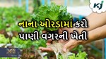 દિવસને-દિવસ વધી રહી છે પાણીની કટોકટી, આવી રીતે ઓછા પાણી વાપરીને મેળવો વધુ ઉત્પાદન