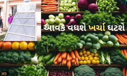 Technology: હવે નહીં બગડે ખેડૂતોનો પાક, IIT કાનપુર વિકસાવી નવી ટેક્નોલોજી